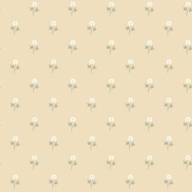 Boras / Österlen tapéta