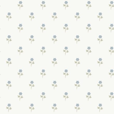 Boras / Österlen tapéta