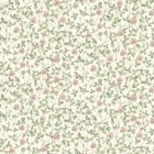 Boras / Österlen tapéta