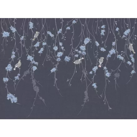 Tecnografica / Bioliving