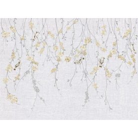 Tecnografica / Bioliving