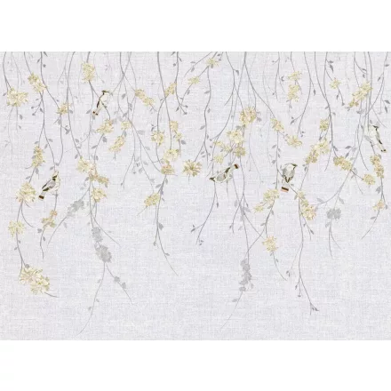 Tecnografica / Bioliving