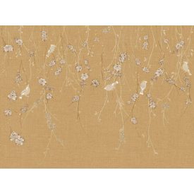 Tecnografica / Bioliving