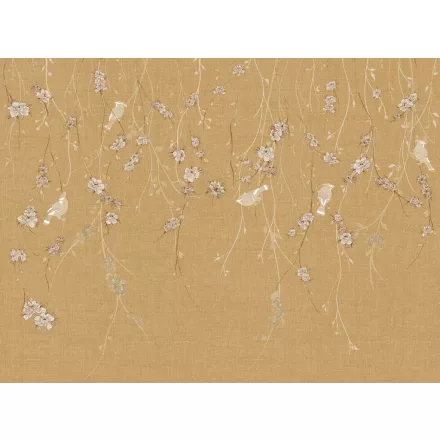 Tecnografica / Bioliving