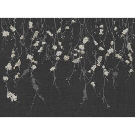 Tecnografica / Bioliving