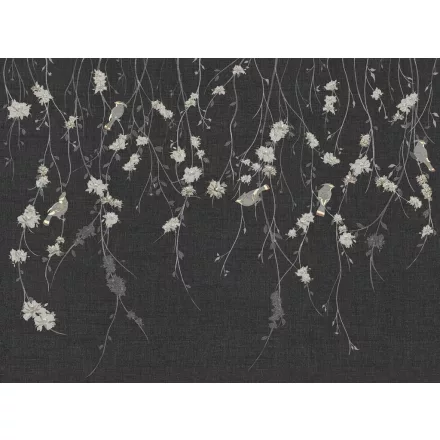 Tecnografica / Bioliving