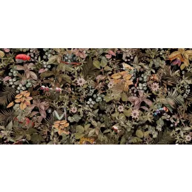 Tecnografica / Expedition