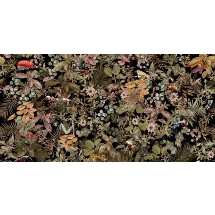 Tecnografica / Expedition