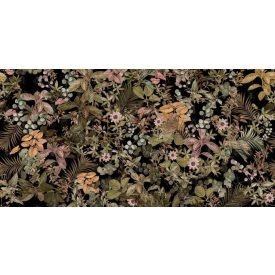 Tecnografica / Expedition