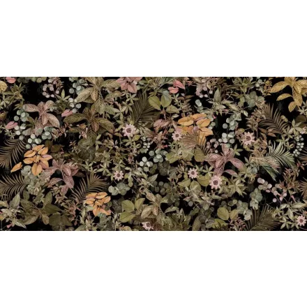 Tecnografica / Expedition