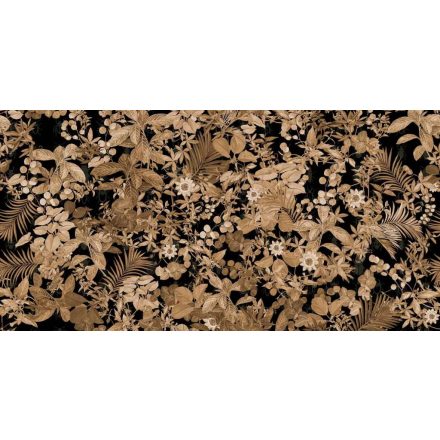 Tecnografica / Expedition