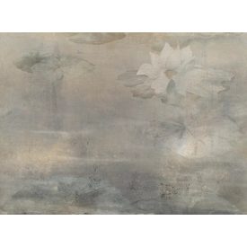 Tecnografica / Bioliving