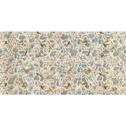 Tecnografica / Expedition