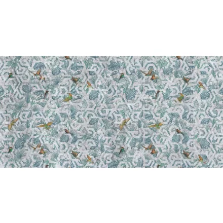 Tecnografica / Expedition