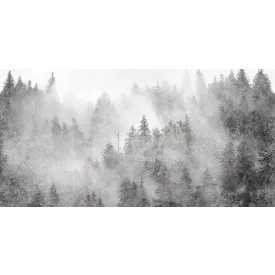 Tecnografica / Landscape