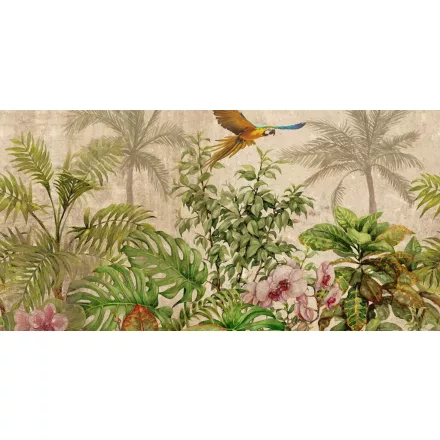 Tecnografica / Expedition