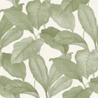 Boras / Melodi tapéta