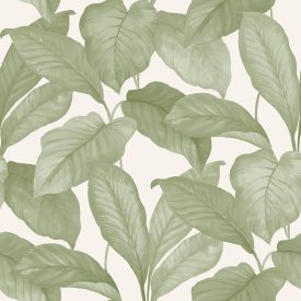 Boras / Melodi tapéta