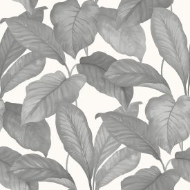 Boras / Melodi tapéta