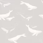 Boras / Newbie Wallpaper