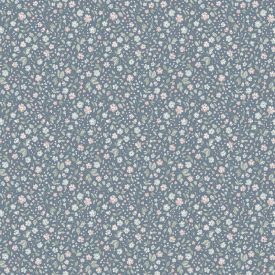 Boras / Newbie Wallpaper