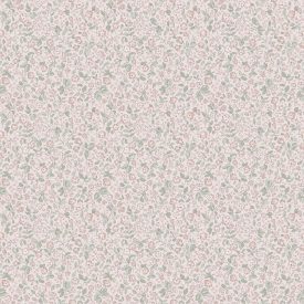 Boras / Newbie Wallpaper