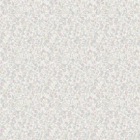 Boras / Newbie Wallpaper