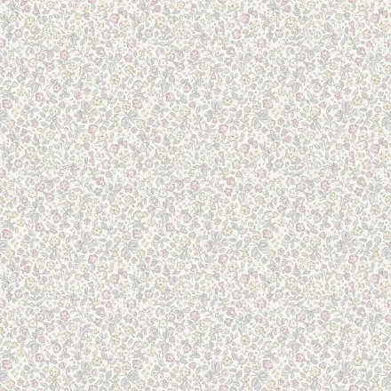 Boras / Newbie Wallpaper