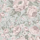 Boras / Newbie Wallpaper