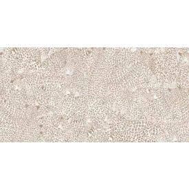 Tecnografica / Wild Essence