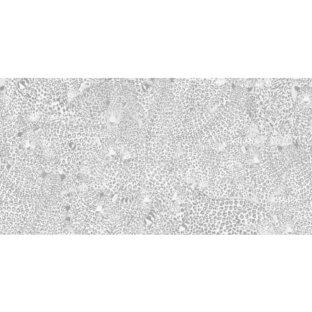 Tecnografica / Wild Essence