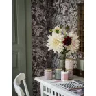 Boras / Newbie Wallpaper