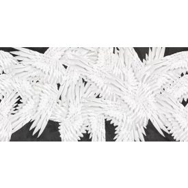 Tecnografica / Wild Essence