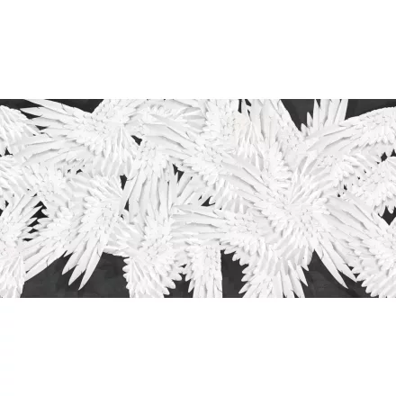 Tecnografica / Wild Essence