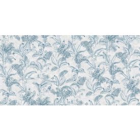 Tecnografica / Expedition