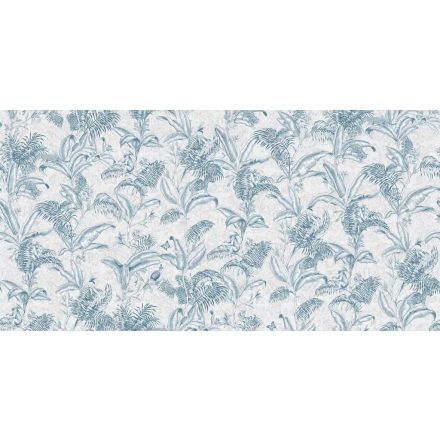 Tecnografica / Expedition