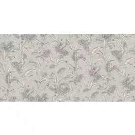 Tecnografica / Expedition