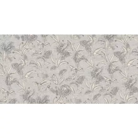 Tecnografica / Expedition