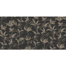 Tecnografica / Expedition