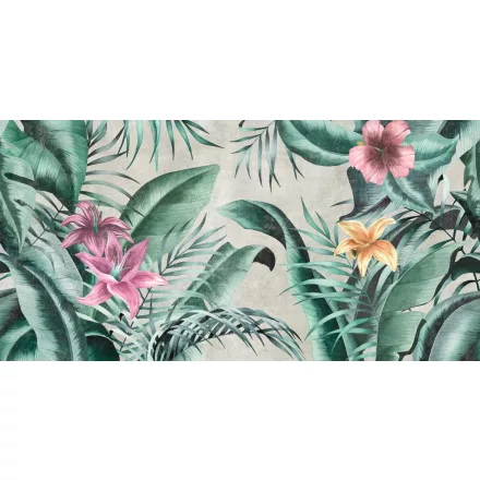 Tecnografica / Expedition