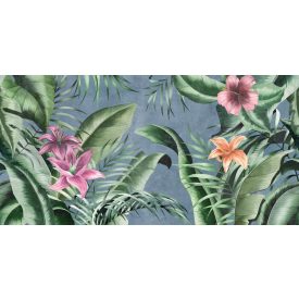 Tecnografica / Expedition