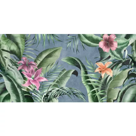 Tecnografica / Expedition