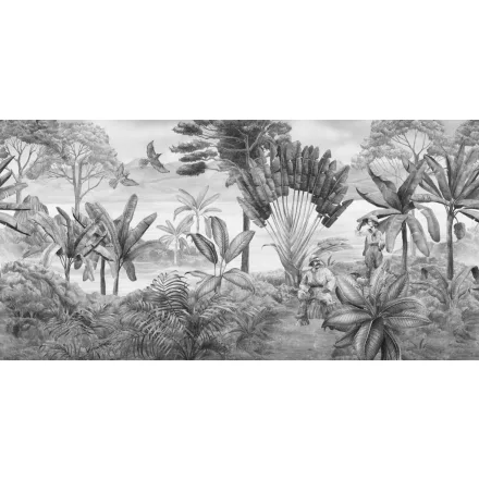 Tecnografica / Expedition