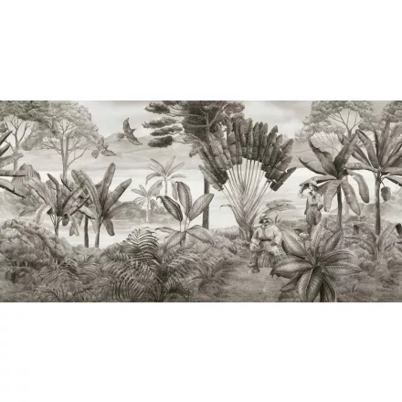 Tecnografica / Expedition