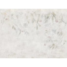 Tecnografica / Bioliving