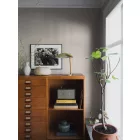 Boras / Pigment tapéta