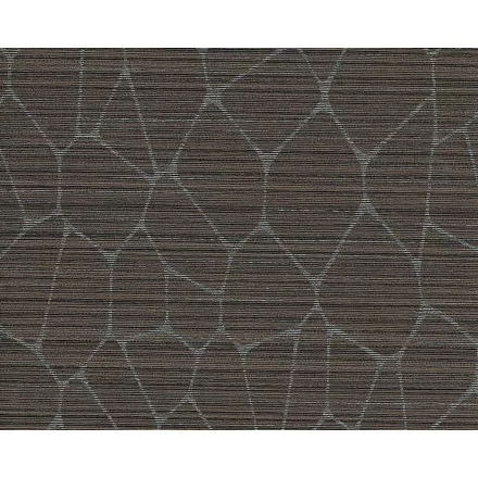 Tapéta / Lentex / Coda