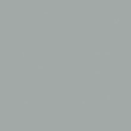 Boras / Pigment tapéta