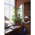 Boras / Pigment tapéta