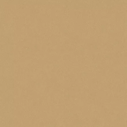 Boras / Pigment tapéta